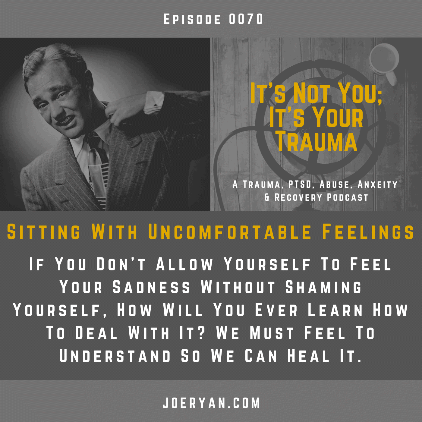 EP 0070 Sitting With Uncomfortable Feelings Joe Ryan